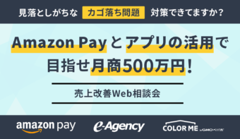 《3月17日(水) 生配信》売上改善Web相談会のご案内【Amazon Pay】